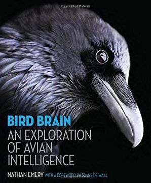 portada Bird Brain: An Exploration of Avian Intelligence (in English)