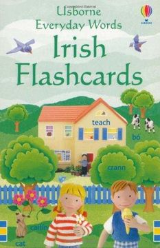 portada Everyday Words: Irish Flashcards (Novelty book) (en Inglés)