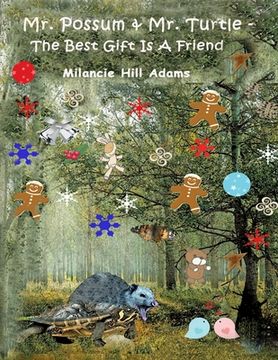 portada Mr. Possum & Mr. Turtle - The Best Gift Is A Friend (in English)