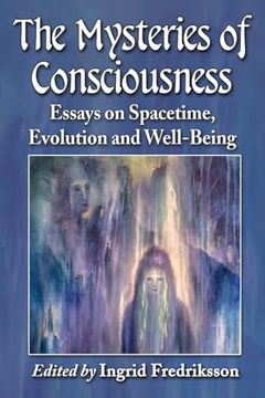 portada The Mysteries of Consciousness: Essays on Spacetime, Evolution and Well-Being (en Inglés)