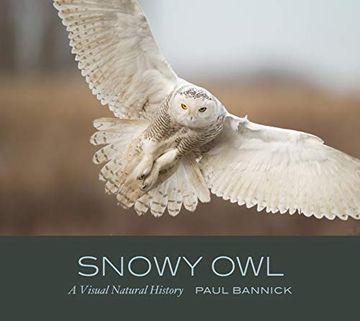 portada Snowy Owl: A Visual Natural History (en Inglés)