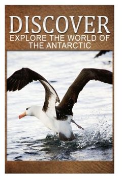 portada Explore The World Of The Antarctic - Discover: Early reader's wildlife photography book