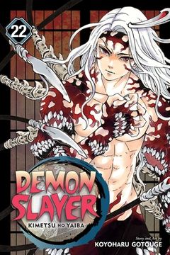 portada Demon Slayer: Kimetsu no Yaiba, Vol. 22 (in English)
