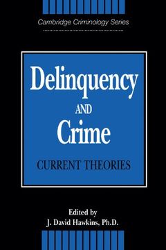 portada Delinquency and Crime Paperback: Current Theories (Cambridge Studies in Criminology) (in English)