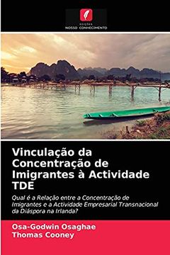 portada Vinculação da Concentração de Imigrantes à Actividade tde (en Portugués)
