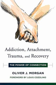 portada Addiction, Attachment, Trauma and Recovery: The Power of Connection (Norton Series on Interpersonal Neurobiology) (en Inglés)
