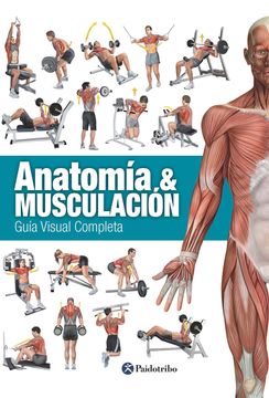 portada Anatomía & Musculación: Guía Visual Completa (in Spanish)