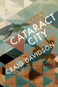 portada Cataract City: A Novel (en Inglés)