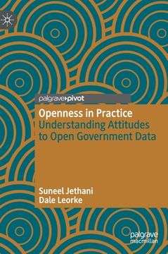 portada Openness in Practice: Understanding Attitudes to Open Government Data