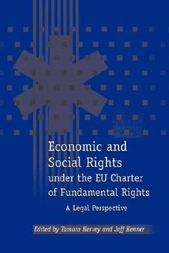 portada economic and social rights under the eu charter of fundamental rights: a legal perspective (en Inglés)