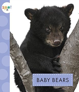 portada Baby Bears (Spot Baby Animals)