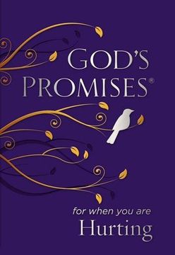 portada God's Promises for When You are Hurting (en Inglés)