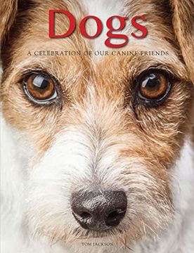 portada Dogs: A Celebration of our Canine Friends (Animals) (en Inglés)