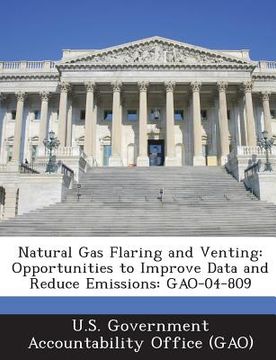 portada Natural Gas Flaring and Venting: Opportunities to Improve Data and Reduce Emissions: Gao-04-809 (in English)