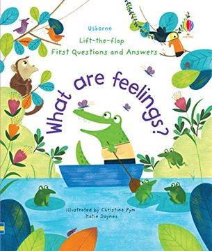 portada What are Feelings? (Lift-The-Flap First Questions & Answers) (in English)
