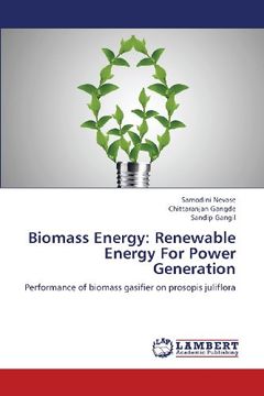 portada Biomass Energy: Renewable Energy For Power Generation