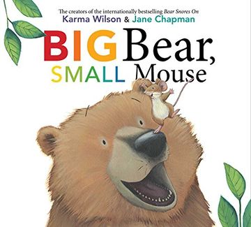 portada Big Bear, Small Mouse (The Bear Books) (in English)