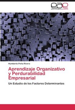 portada aprendizaje organizativo y perdurabilidad empresarial (en Inglés)
