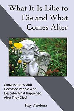 portada What it is Like to die and What Comes After: Conversations With Deceased People who Describe What Happened After They Died (en Inglés)