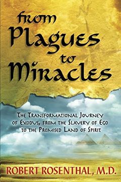 portada From Plagues to Miracles: The Transformational Journey of Exodus, From the Slavery of ego to the Promised Land of Spirit 