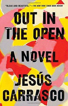 portada Out in the Open: A Novel (in English)