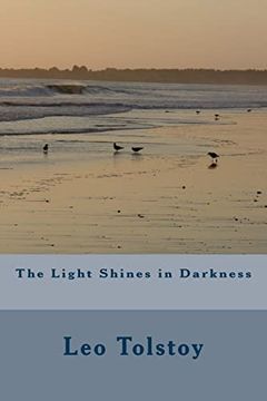 portada The Light Shines in Darkness (en Inglés)