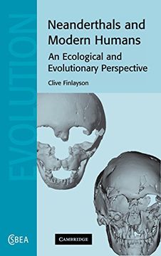 portada Neanderthals and Modern Humans Hardback: An Ecological and Evolutionary Perspective (Cambridge Studies in Biological and Evolutionary Anthropology) (in English)