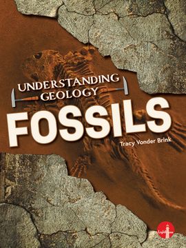 portada Fossils