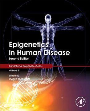 portada Epigenetics in Human Disease (Volume 6) (Translational Epigenetics, Volume 6) (in English)