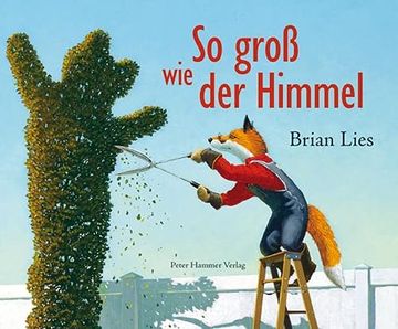portada So Groß wie der Himmel (in German)