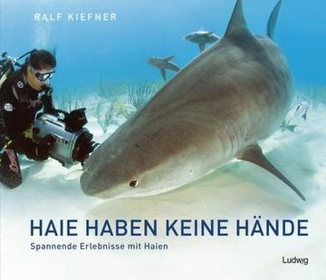 portada Haie Haben Keine Hände - Spannende Erlebnisse mit Haien (in German)