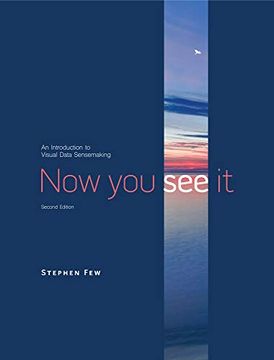 portada Now you see it: An Introduction to Visual Data Sensemaking (in English)