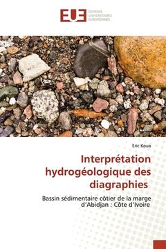portada Interprétation hydrogéologique des diagraphies (en Francés)