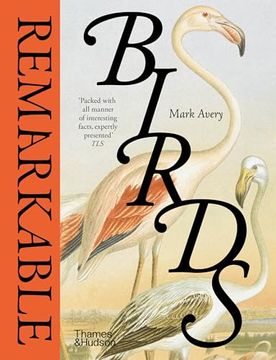 portada Remarkable Birds (Compact ed) (in English)