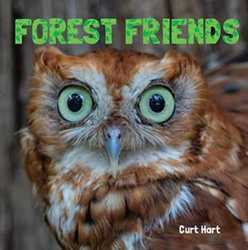 portada Forest Friends (Animal Lovers) (en Inglés)