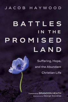 portada Battles in the Promised Land (en Inglés)