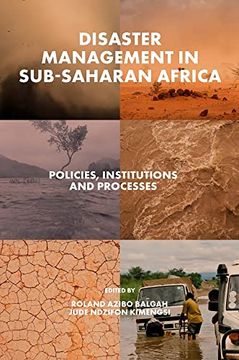 portada Disaster Management in Sub-Saharan Africa: Policies, Institutions and Processes 