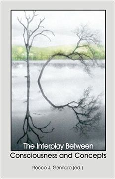 portada The Interplay Between Consciousness and Concepts (in English)
