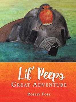 portada Lil' Peeps Great Adventure 