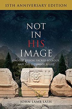 portada Not in his Image: Gnostic Vision, Sacred Ecology, and the Future of Belief (in English)
