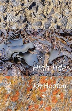 portada High Tide