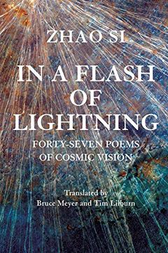 portada In a Flash of Lightning: Fifty-Four Poems of Cosmic Vision (en Inglés)