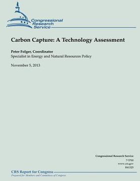 portada Carbon Capture: A Technology Assessment (en Inglés)