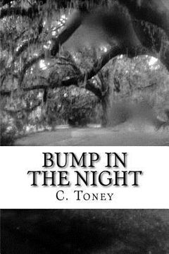 portada Bump in the Night