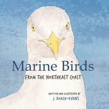 portada Marine Birds: from the Northeast Coast (en Inglés)