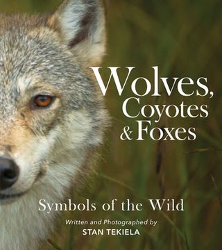 portada Wolves, Coyotes & Foxes: Symbols of the Wild (Favorite Wildlife) (en Inglés)