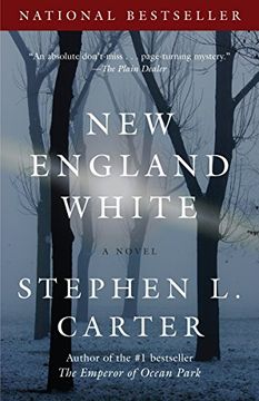 portada New England White (Vintage Contemporaries) 
