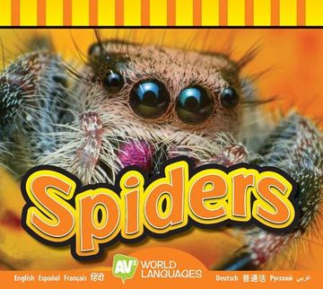 portada Spiders