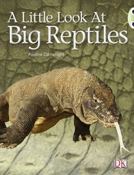 portada Look at Reptiles Blue 2 (en Inglés)