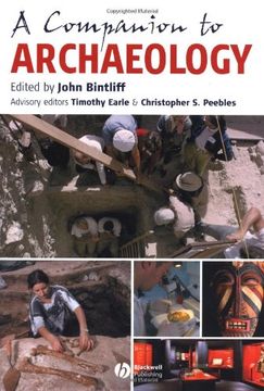 portada companion to archaeology